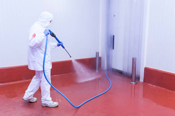 Best Warehouse Cleaning  in Karnes City, TX